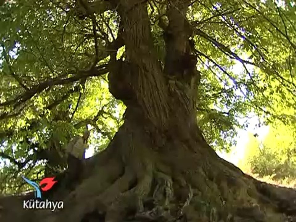 Kutahya - Promotion