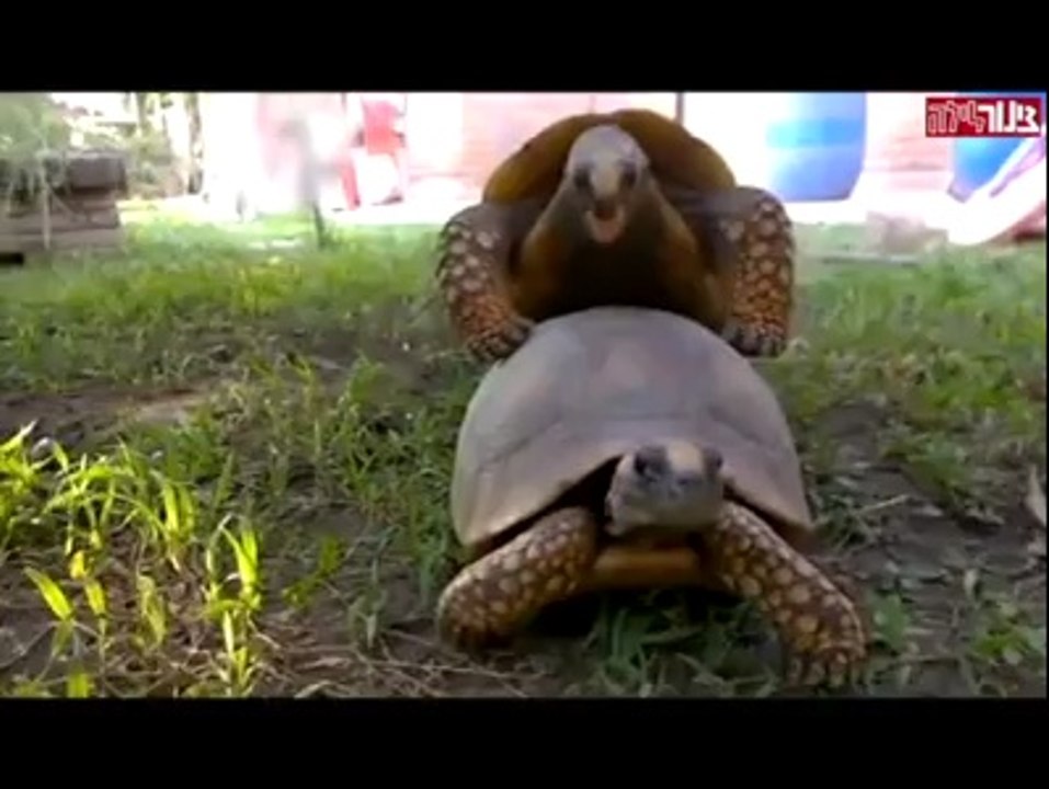 nature is sooo beautiful