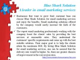 Blue Shark Solution – A leader in email marketing services