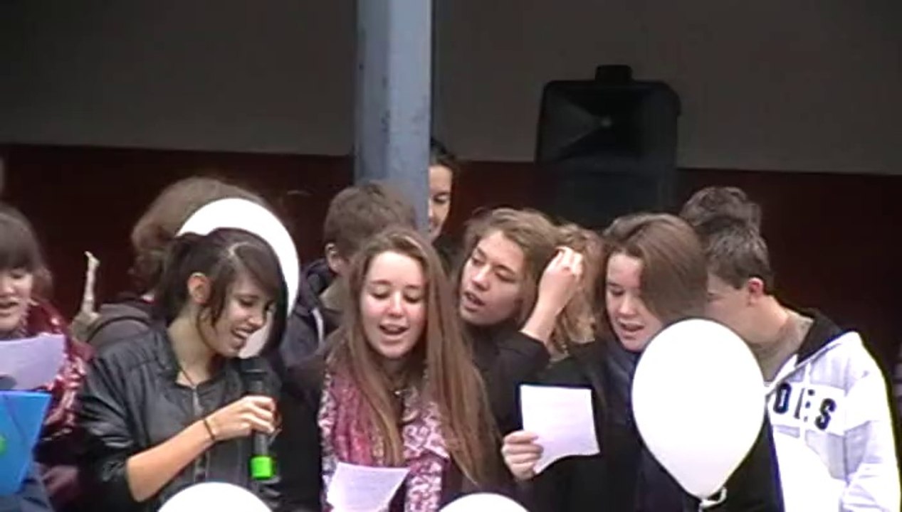 VESOUL : LE LYCEE BELIN FETE L'EUROPE