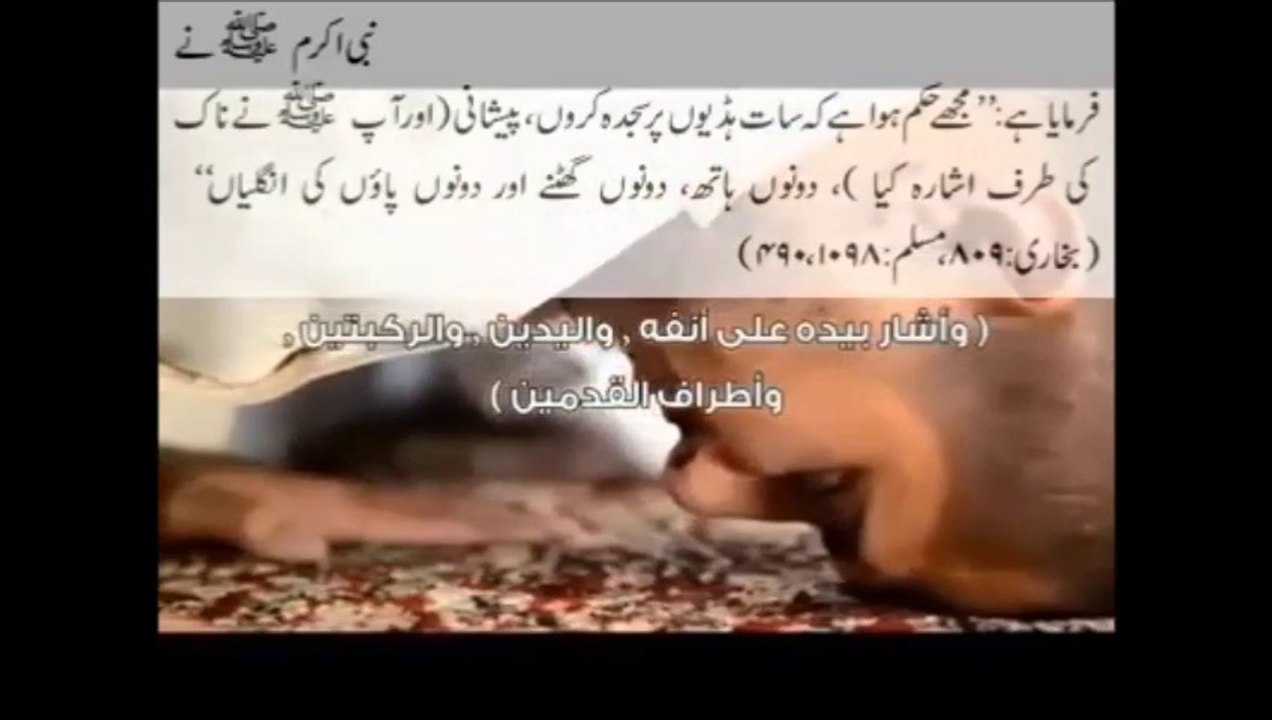 Namaz-Salah میں کی جانے والی اکثر غلطیاں۔۔