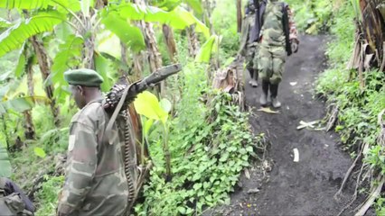 La desmovilización de las milicias congoleñas