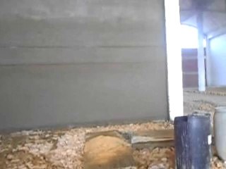 DANISH PLASTER 9 MAY 2014