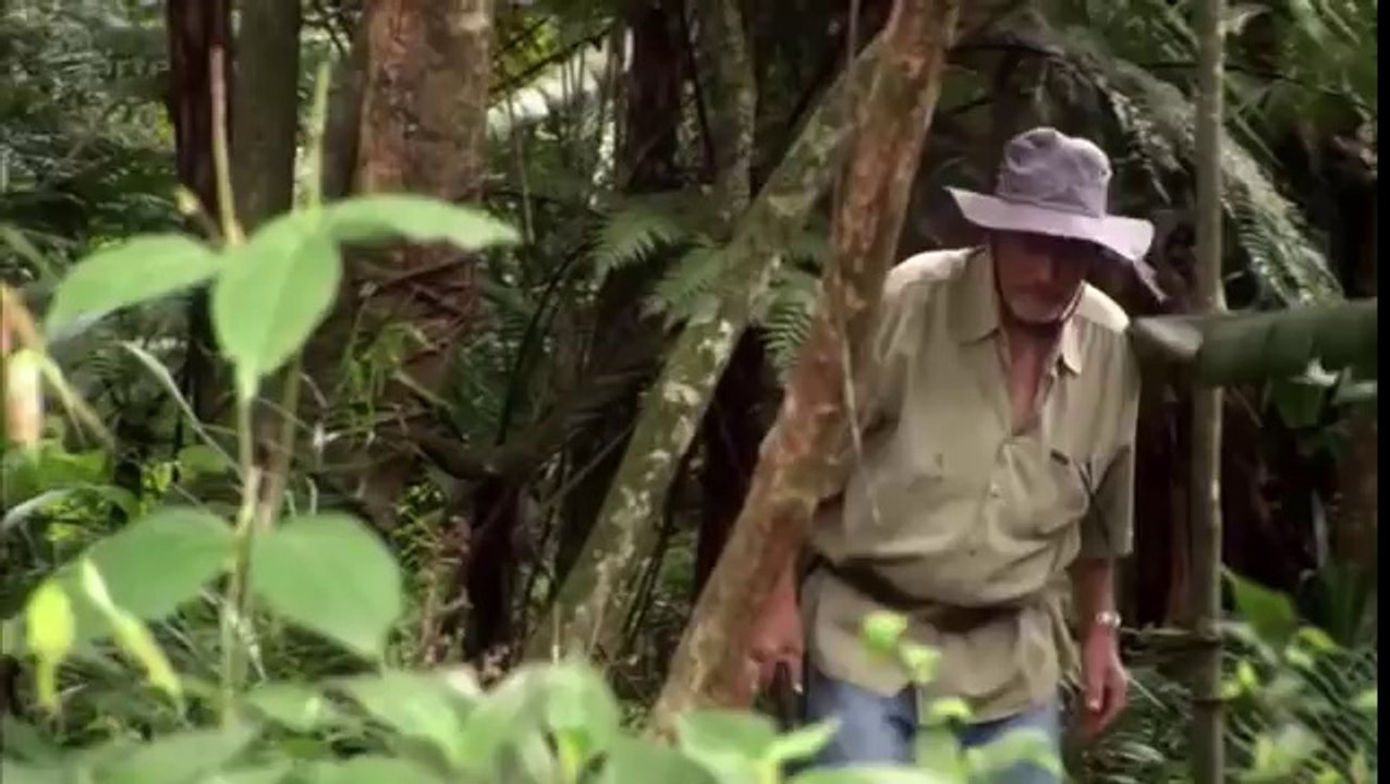 Les soldats oubliés de Carthage.