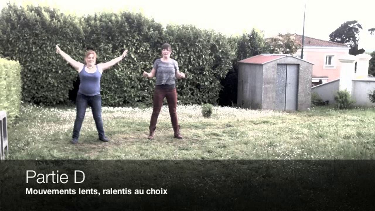 Flash mob Mariage Cécile & Vincent