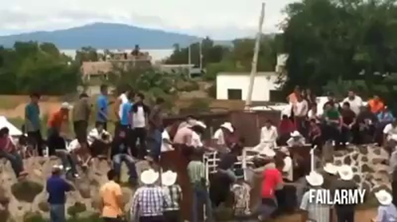 kur kafshet sulmojn !!