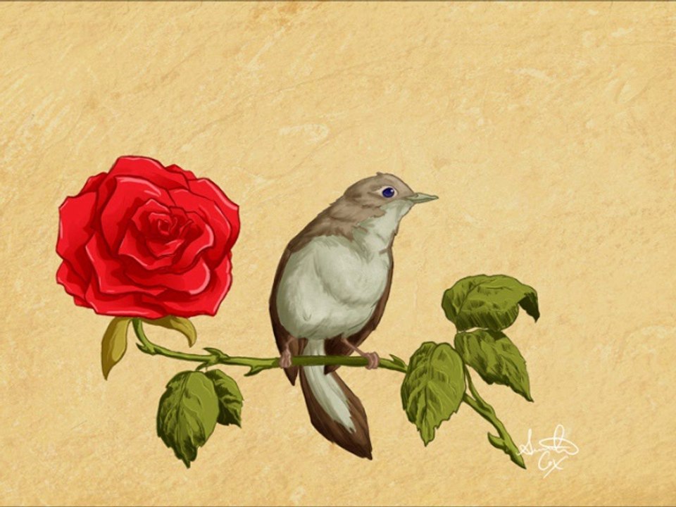 Ne Feryad Edersin Bülbül - Ney