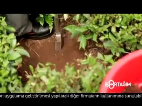 Lipton _ Vodafone İş Ortağım