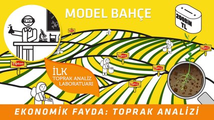 Lipton Sürdürülebilir Çay Tarımı Projesi