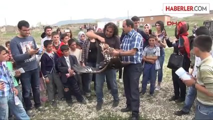 Öğrencilerden Kuş Gözlemi