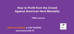 How to Profit from American Herd Mentality in the Stock Market