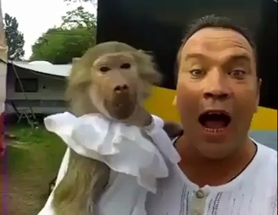 Very Funny Monkey