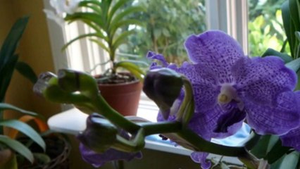 Lê Quyên.. Đễ nhớ một thời ta đã yêu