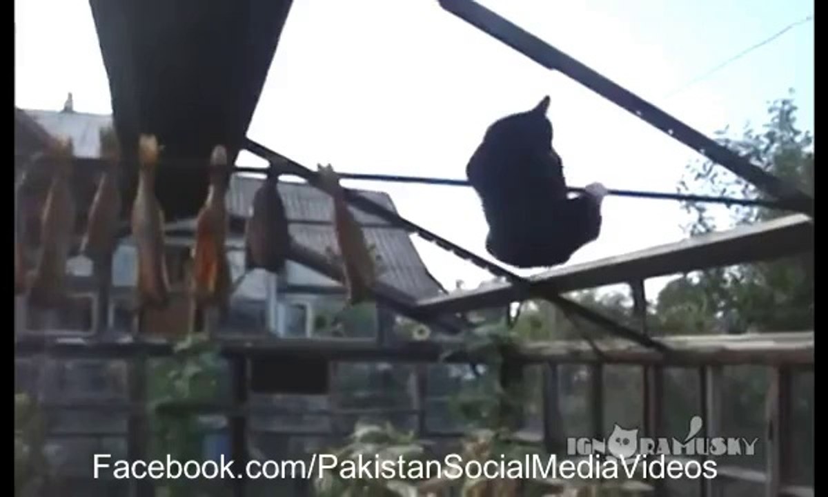 When Fishing Goes Totally Wrong_(new)