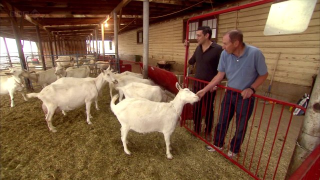 Playing God BBC -משחקים בתפקיד האלוהים