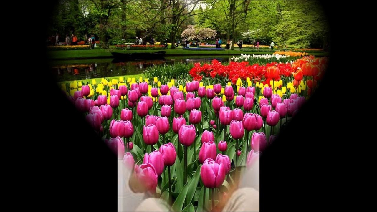 RAGIP NAİLE SARAÇ ANAOKULU PALYAÇOLAR SINIFI