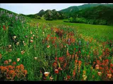 GÜNGÖR YILDIZ .müslüm gürses sevmelsin