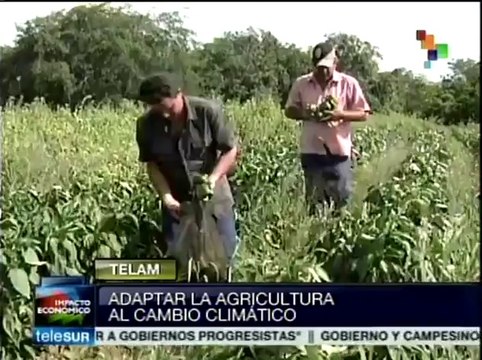 Argentina insta a que Suramérica adapte agricultura a cambio climático