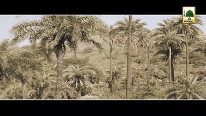 Bagh e Hazrat Syeduna Salman Farsi - Ziyarat e Harmain e Tayyibain