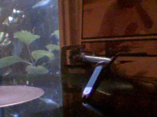 D.C. LEE  -don't do it baby 85