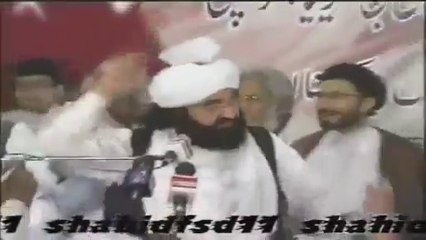 .. پیر سید نصیر الدین نصیر جیلانی .منظر فضاۓ دہر میں سارا علی کا ہے