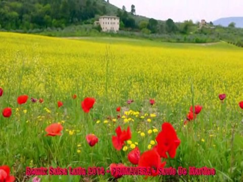 REMIX 2014 HIT MANIA ESTATE Remixed Disco DJ Reprise - PRIMAVERA (Versione Salsa) - Savio De Martino