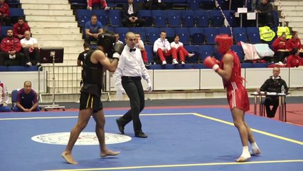 Thomas Nguyen VS Recep Ozcan - Championnat wushu sportif 2014 - Sanda -65