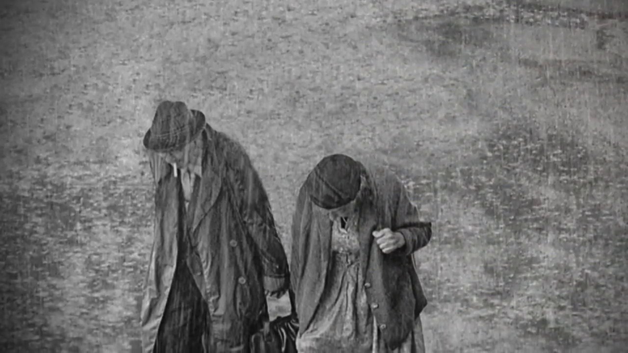 Sarı ve Rüzgar (Erdal Güney)