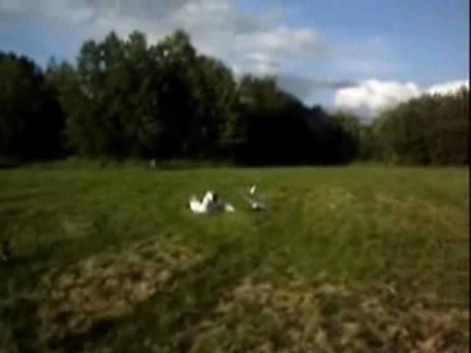 accident avion