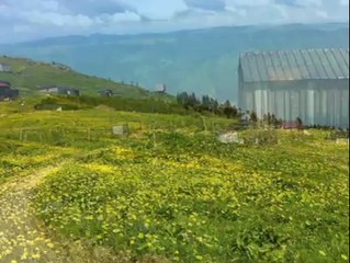 GÜNGÖR YILDIZ.  RAHMETLİ HAKKI BIYIKLI   ÖZEL YORUM