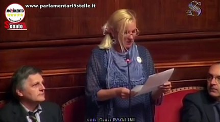 Paglini (M5S): Massarosa, Sermas Servizi produce debiti invece che energia - MoVimento 5 Stelle