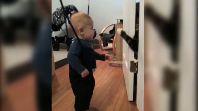 Funny Cats And Adorable Babies Compilation