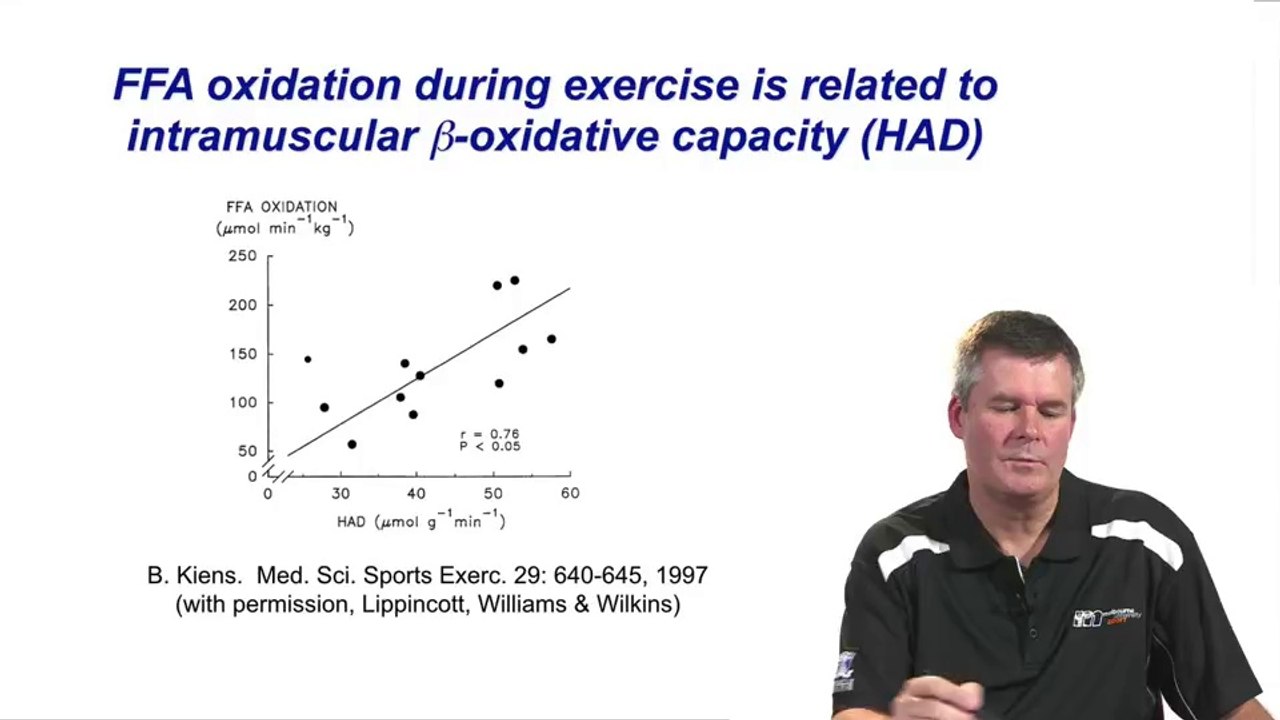 Fat Metabolism During Exercise