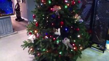 Cats In Christmas Trees Compilation