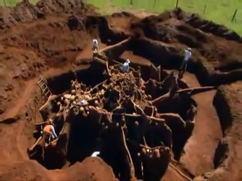 What An Ant Colony Looks Like Underground