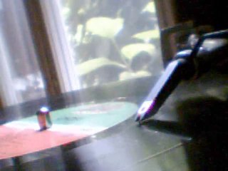 CHOPS  -your red hot love 84