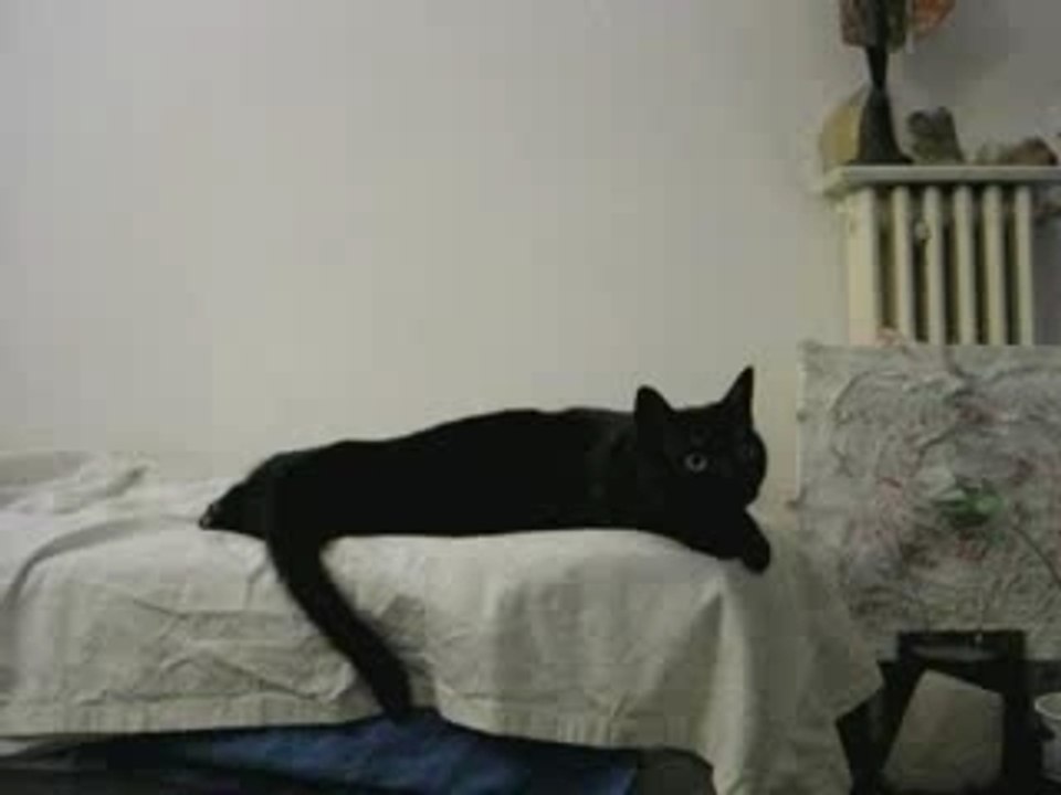 Le Chacacorde