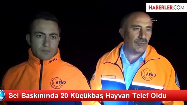 Muş'ta Sele Kapılan 40 Küçükbaş Hayvan Telef Oldu