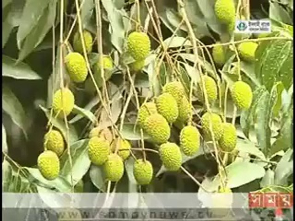 এ সময়ের বাণিজ্য(সকাল ১১টা)
