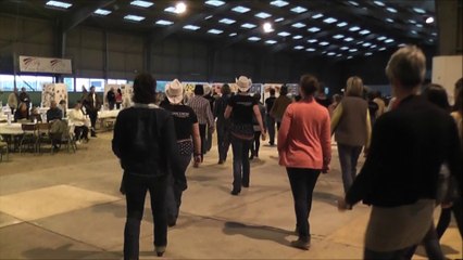 animations  pour les 50 ans du centre  Equestre