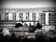 Miniature DailyMotion