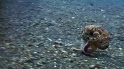 평택건마《아찔한밤》추천abam③net상계건마가격￢↖