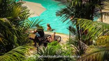Sea Temple Resort Hotel Accommodation Palm Cove