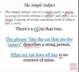 3.1 - Subjects