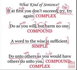 3.4 - Sentence Types