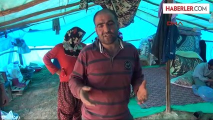 302 Koyun ve Keçi Çalındı, Kuzular Sütsüz Kaldı