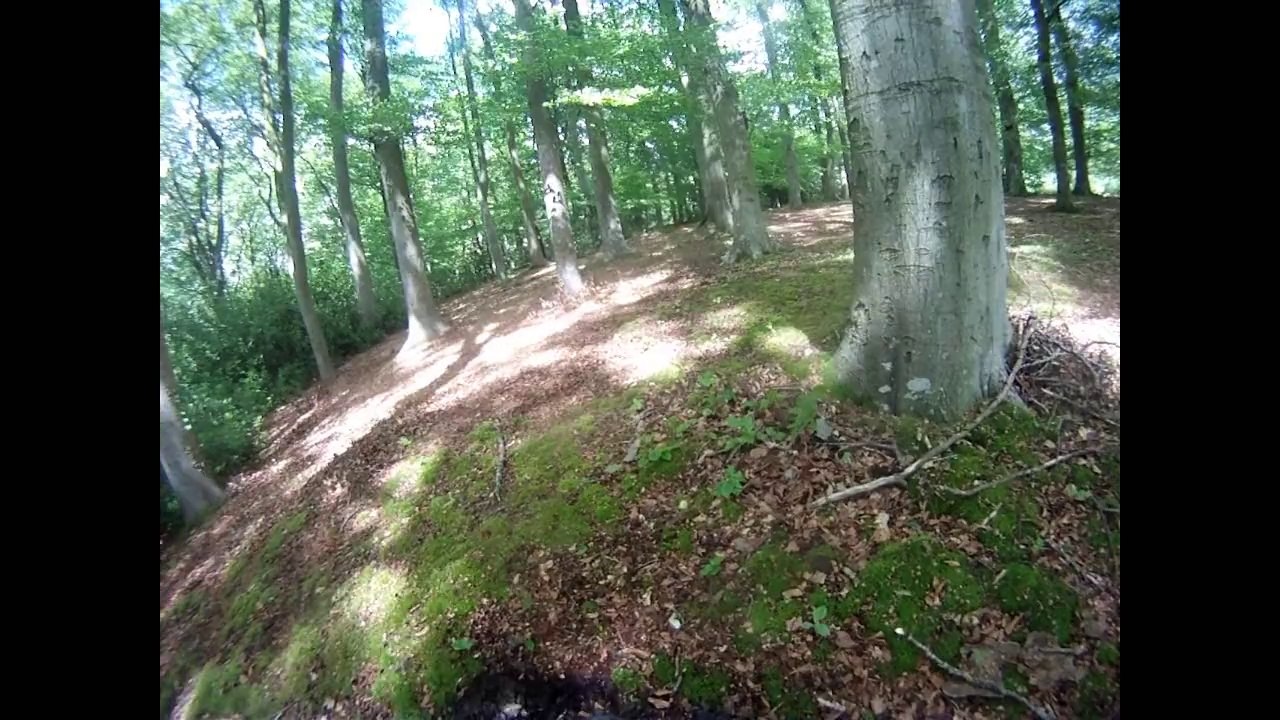 sortie en foret et reco du 09-05-2014
