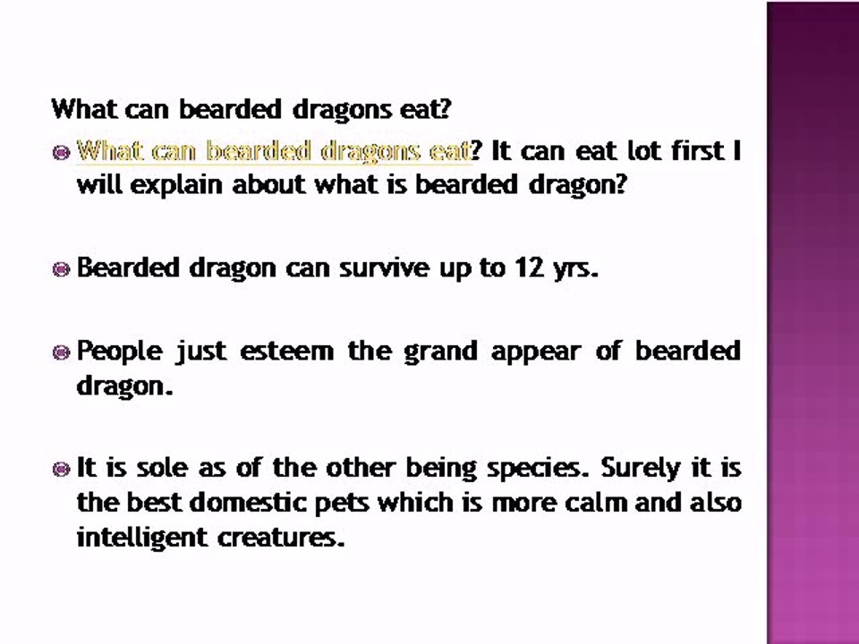 What can bearded dragons eat