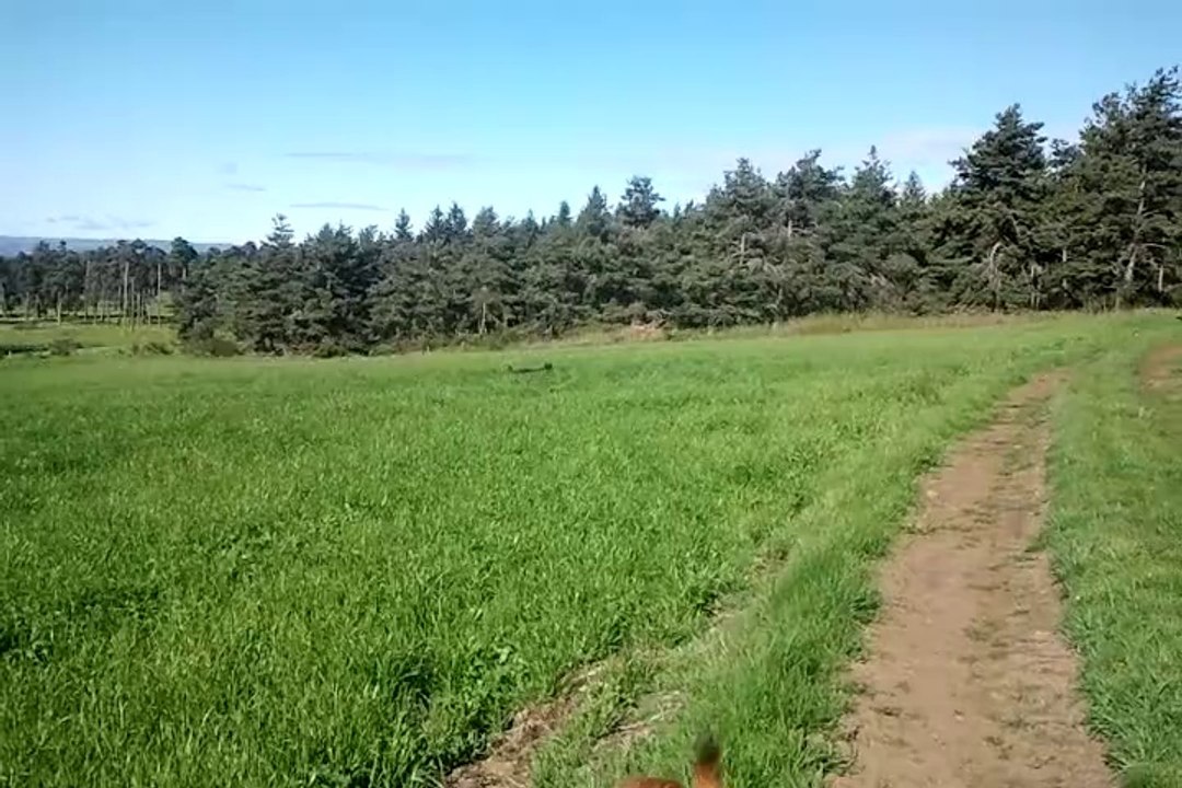 Vidéo0048