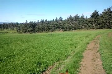 Vidéo0048